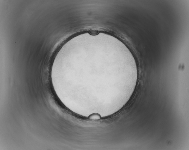 X0000113130012200910021427