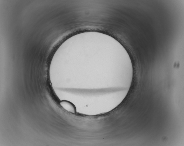 X0000113130016200910021427