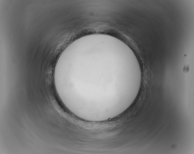 X0000113130018200910021427