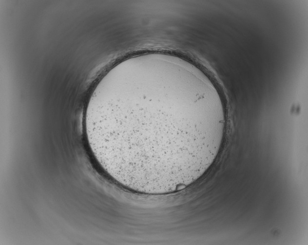 X0000113130019200910021427