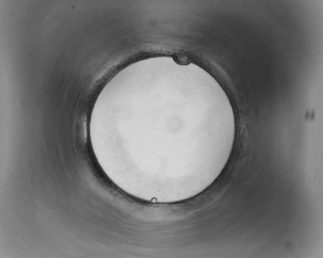 X0000113130020200910021427