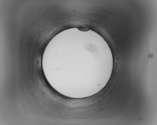 X0000113130021200910021427