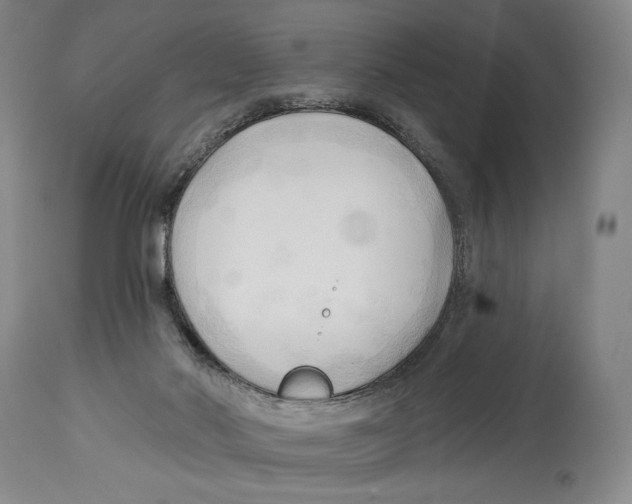 X0000113130022200910021427