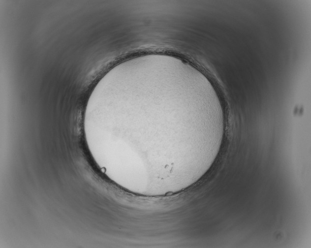 X0000113130023200910021427