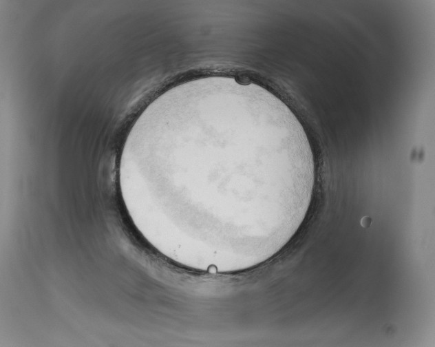 X0000113130024200910021427