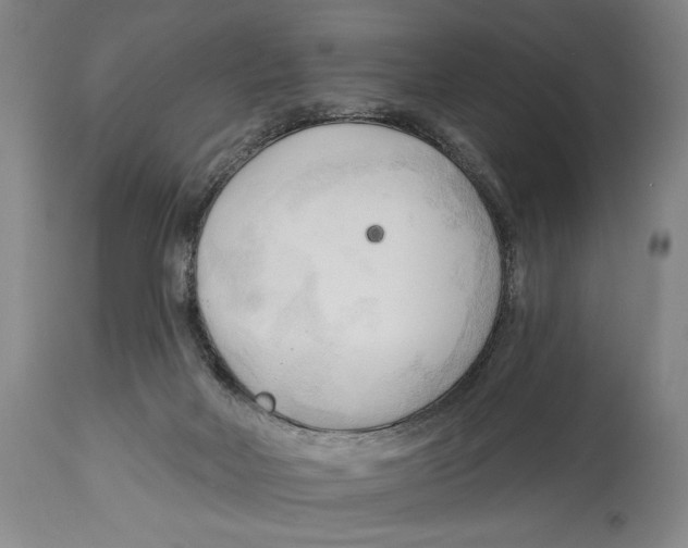 X0000113130026200910021427