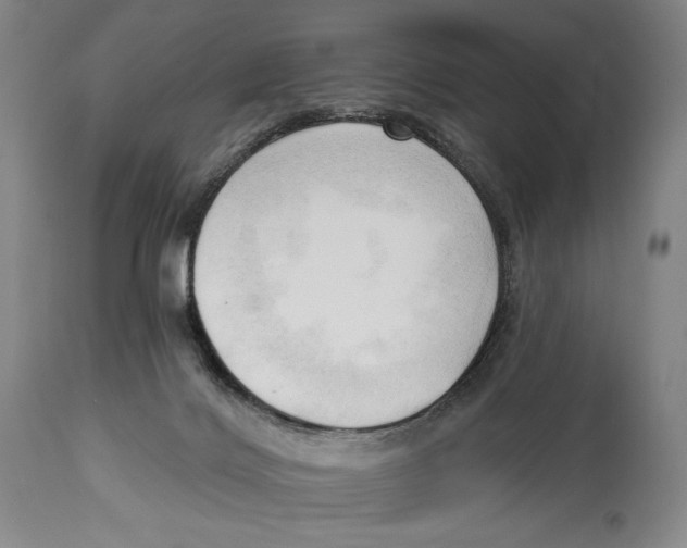 X0000113130028200910021427