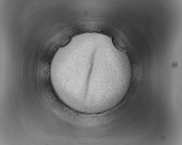 X0000113130029200910021427