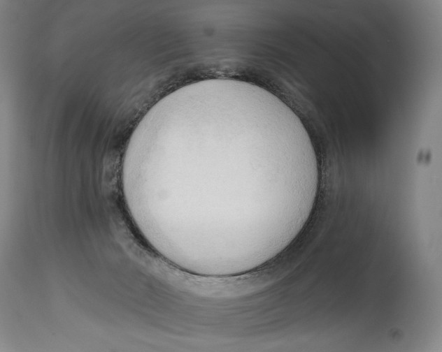 X0000113130030200910021427