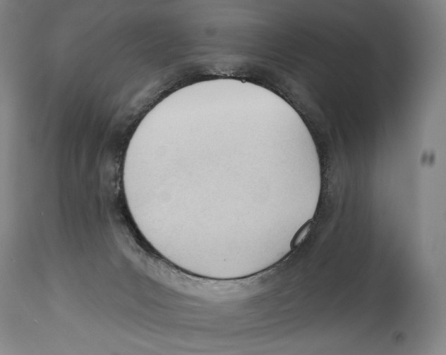 X0000113130031200910021427