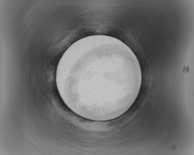 X0000113130032200910021427