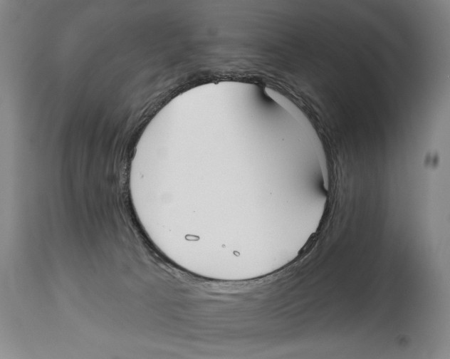 X0000113130033200910021427