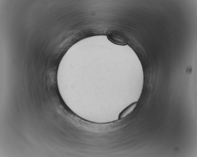 X0000113130035200910021427