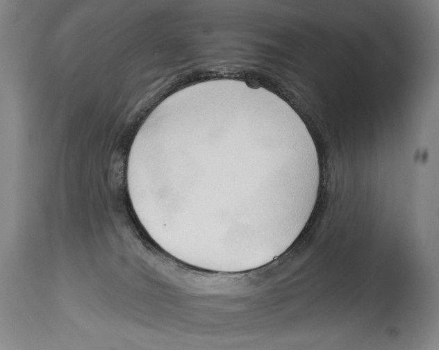 X0000113130036200910021427