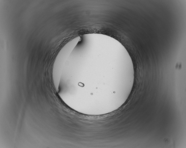 X0000113130037200910021427