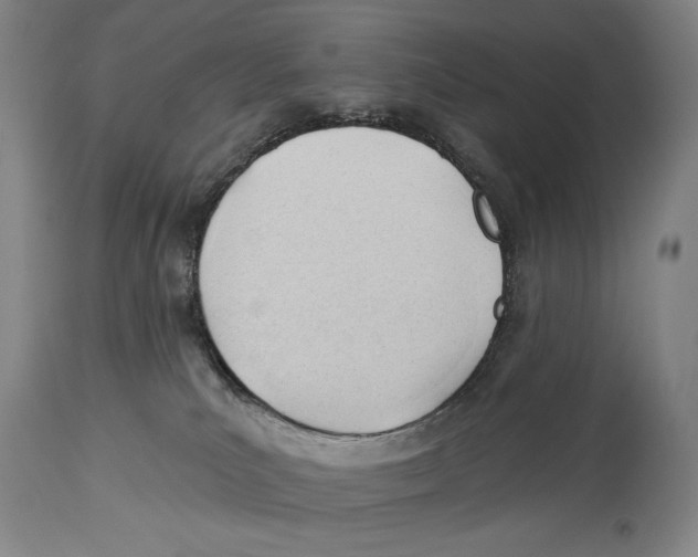 X0000113130039200910021427