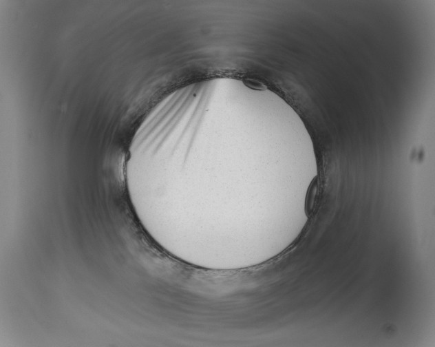 X0000113130041200910021426