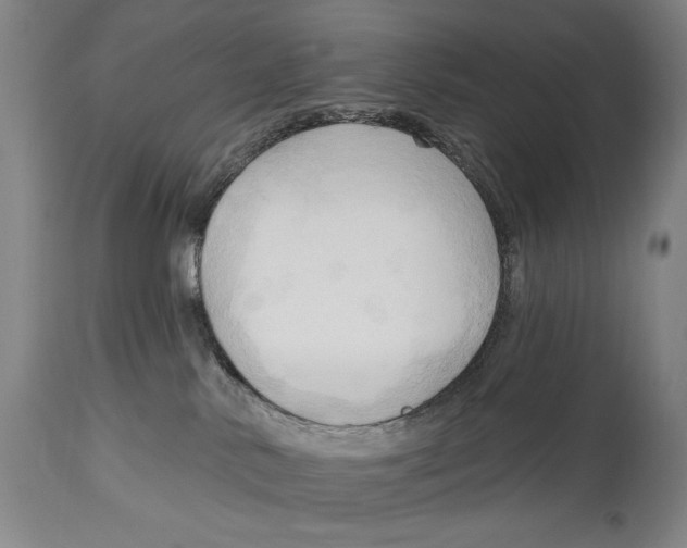 X0000113130042200910021426