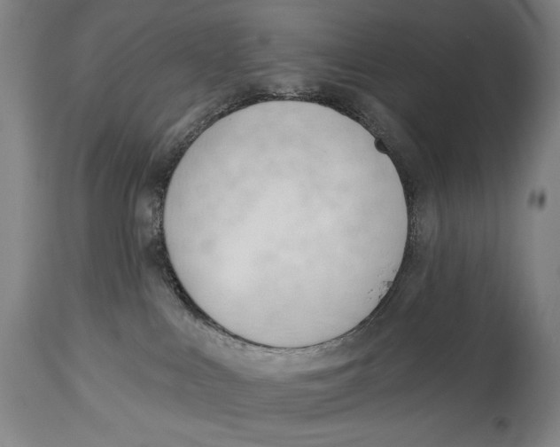 X0000113130043200910021426