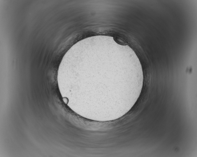 X0000113130044200910021426