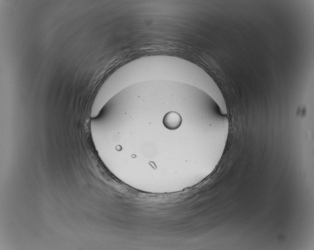 X0000113130045200910021426