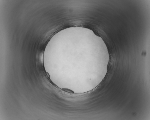 X0000113130047200910021426