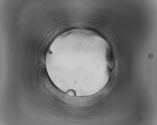 X0000113130048200910021426