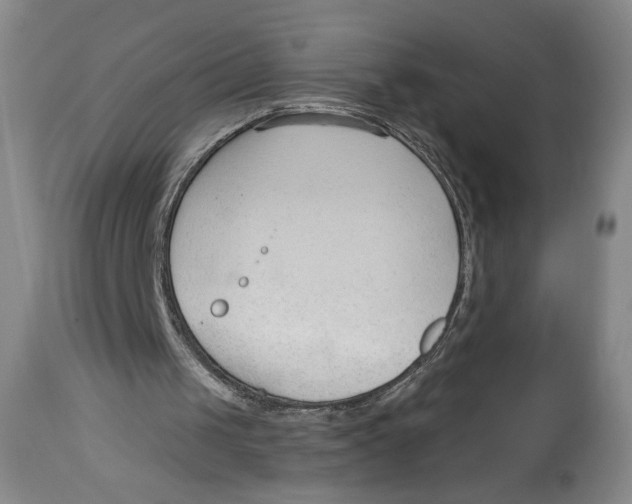 X0000113130049200910021426