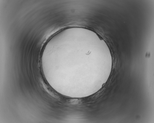 X0000113130050200910021426