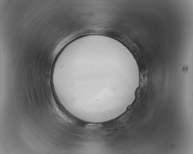 X0000113130051200910021426