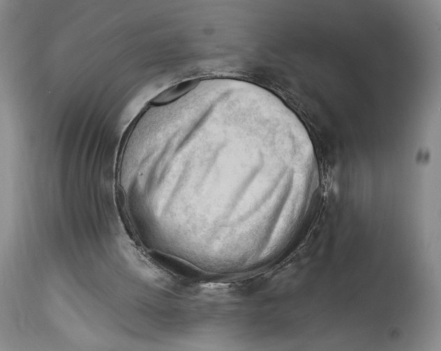 X0000113130052200910021426