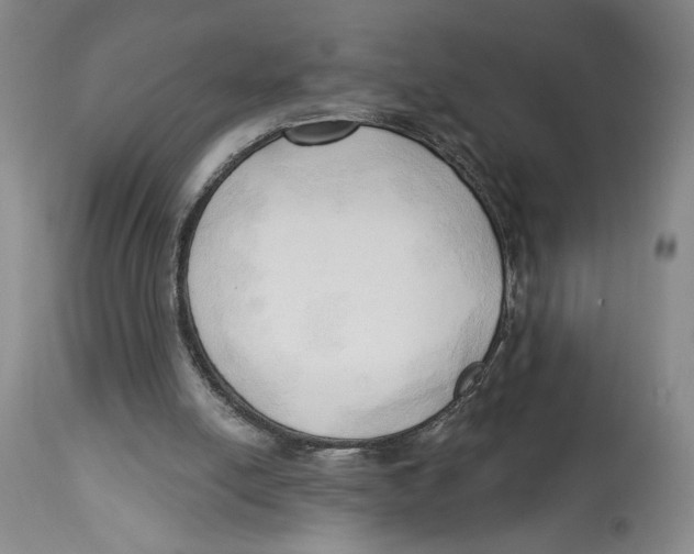 X0000113130054200910021426