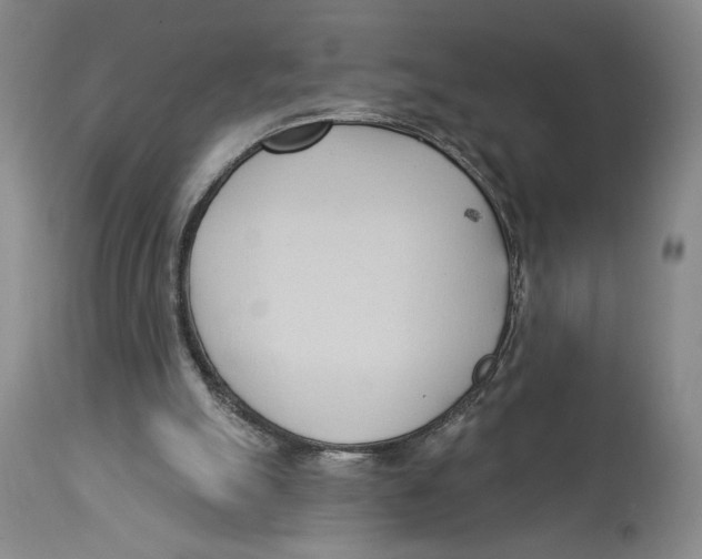 X0000113130055200910021426