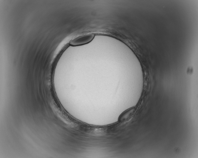 X0000113130056200910021426