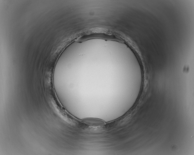 X0000113130057200910021426