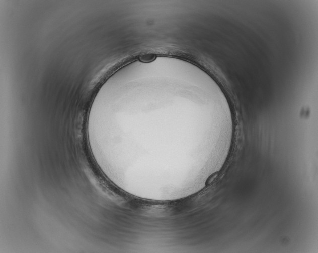 X0000113130058200910021426