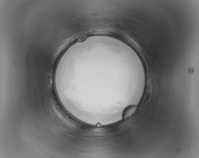 X0000113130059200910021426