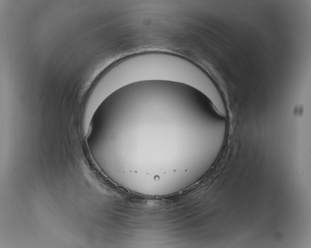 X0000113130060200910021426