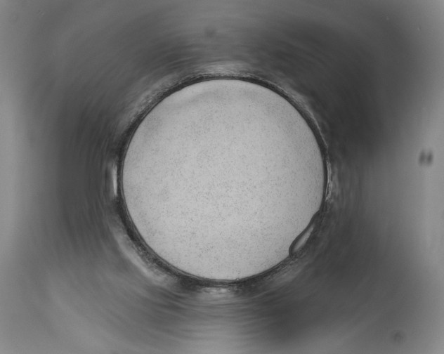 X0000113130061200910021426