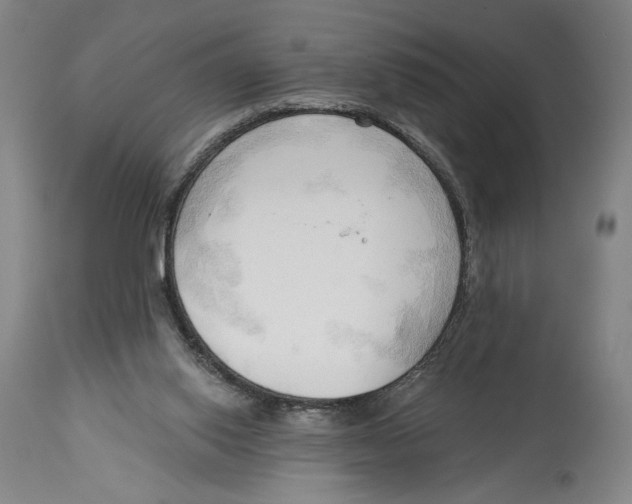 X0000113130062200910021426