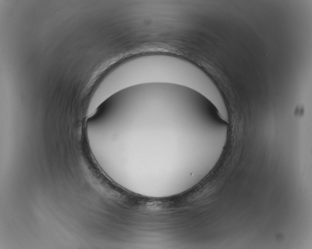 X0000113130064200910021426