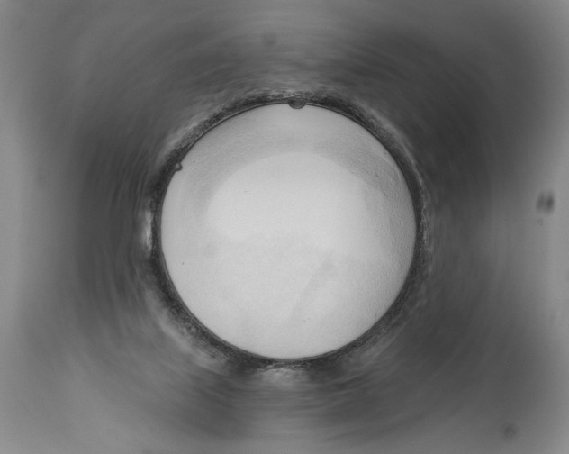 X0000113130067200910021426