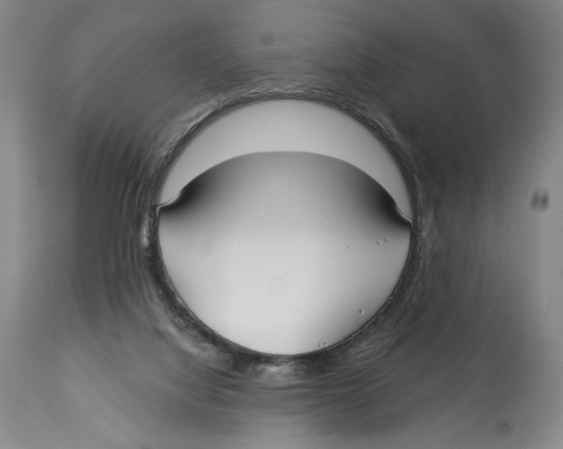 X0000113130068200910021426