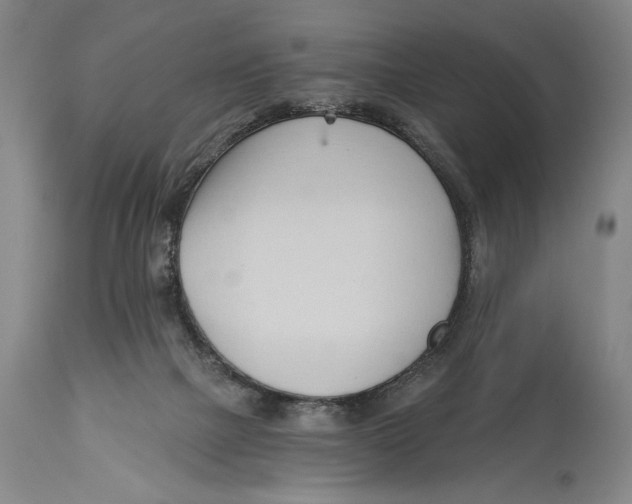 X0000113130073200910021426