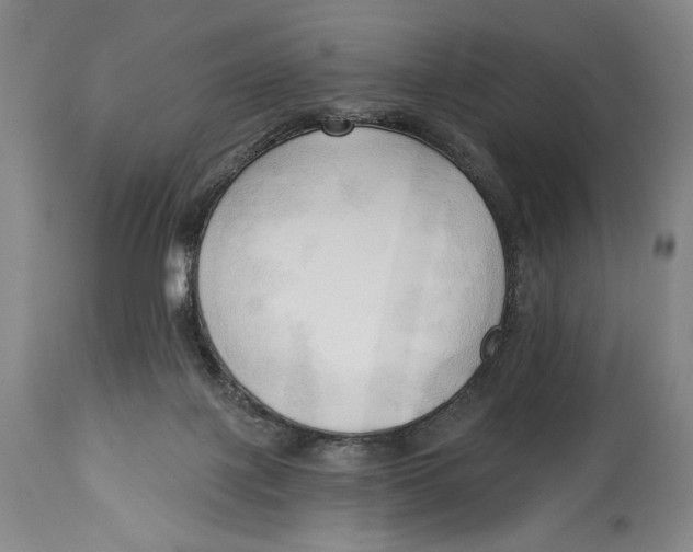 X0000113130075200910021426