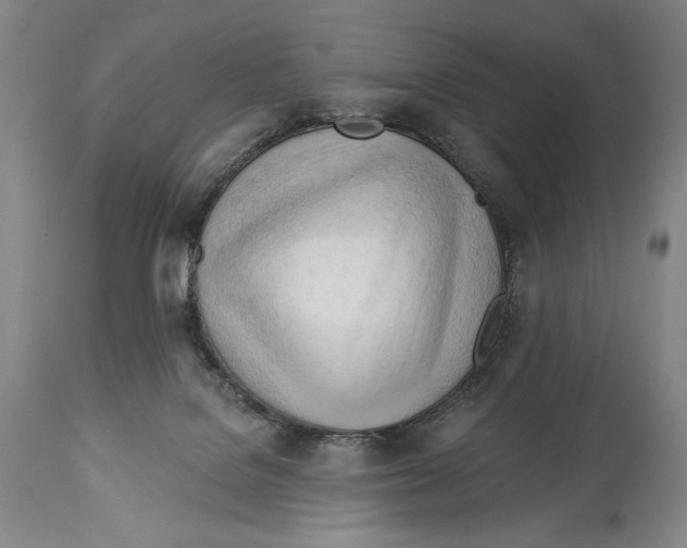 X0000113130076200910021426