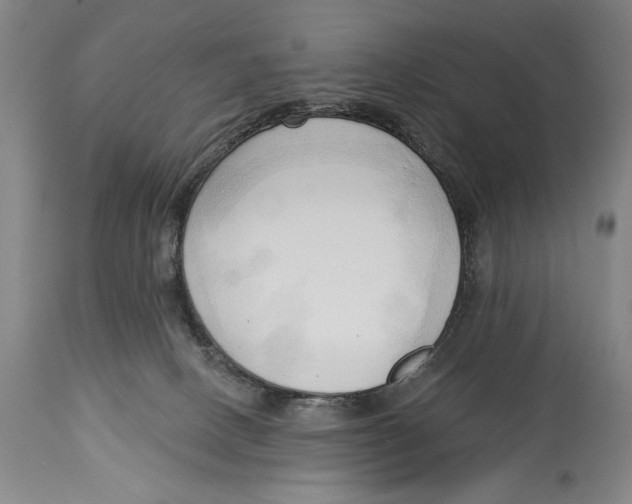 X0000113130082200910021426