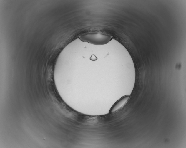 X0000113130083200910021426