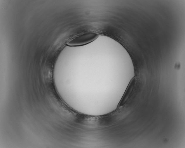 X0000113130084200910021426