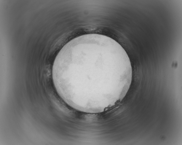 X0000113130085200910021426